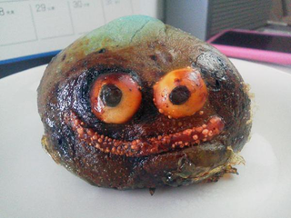 Illustration for article titled Japan, Stop Playing with the Disgusting-Looking Food!
